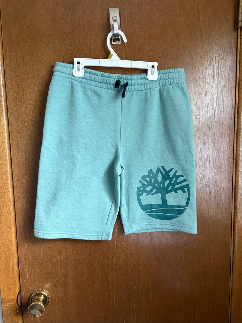 Timberland Mint Green Logo Sweat Shorts